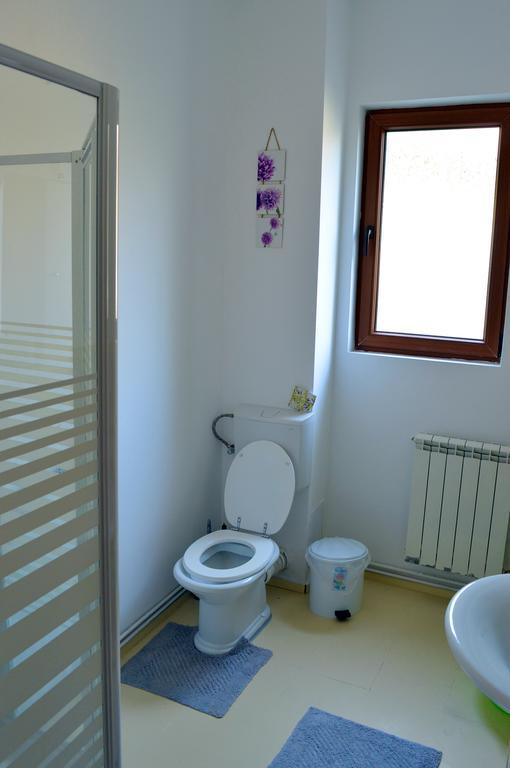Exit Routine Hostel Тимишоара Екстериор снимка